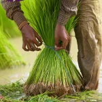 reduire impact ecologique ses achats ligne