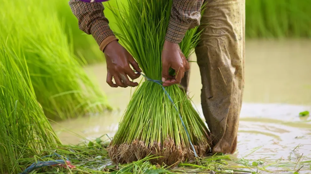 reduire impact ecologique ses achats ligne
